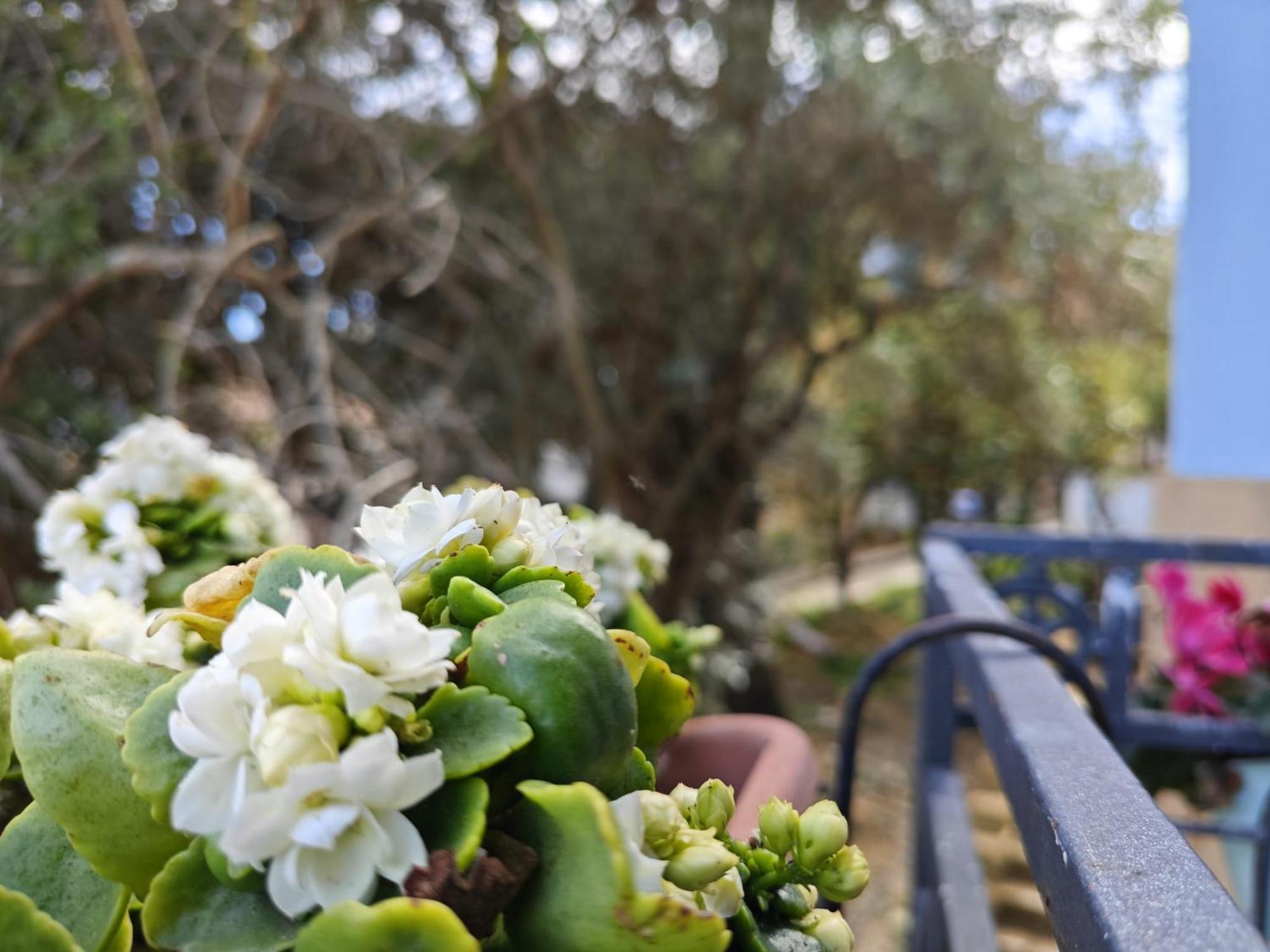 Villa Amoroso - Ospitalita Mediterranea อากริเจนโต ภายนอก รูปภาพ